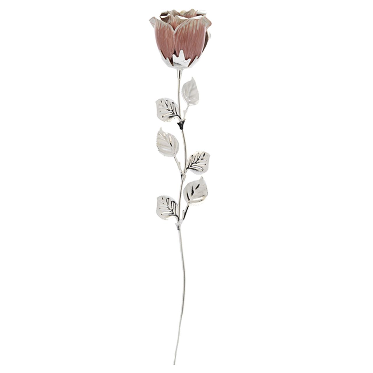 ROSA CM 33 - ROSA SCARLATTA